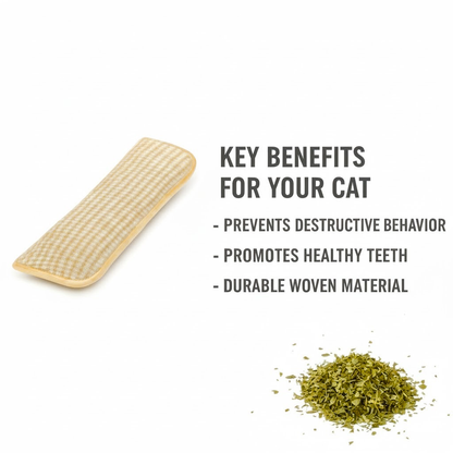 Clawvia Catnip Chew Toy